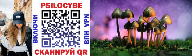 kraken рабочий сайт  Сысерть  Псилоцибиновые грибы мухоморы 